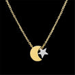 Femme Moon & Star Stainless Steel Necklace
