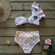 2 Piece Ruffle Swimsuit
